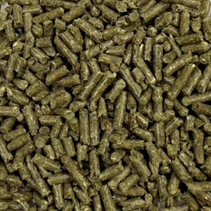 Pienso Oxbow Conejo Adulto